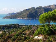 Corse Du Sud holiday rentals for 2 people: villa no. 113234