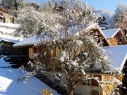 Grand Massif mountain and ski rentals: studio no. 113338