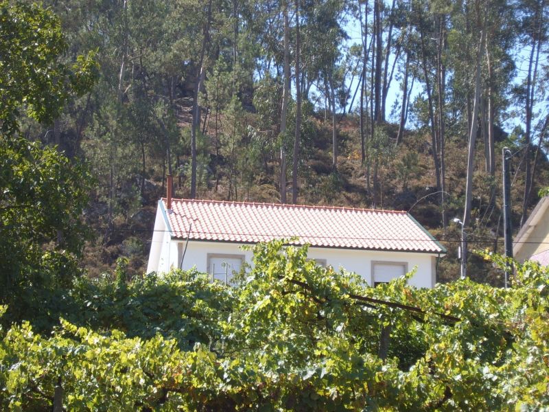 photo 1 Owner direct vacation rental Celorico de Basto maison Entre Douro e Minho  Outside view