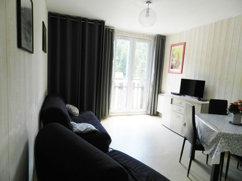 photo 8 Owner direct vacation rental Le Lioran studio Auvergne Cantal Sitting room