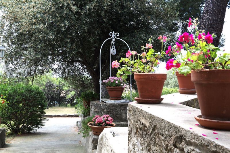 photo 14 Owner direct vacation rental La Ciotat maison Provence-Alpes-Cte d'Azur Bouches du Rhne Garden
