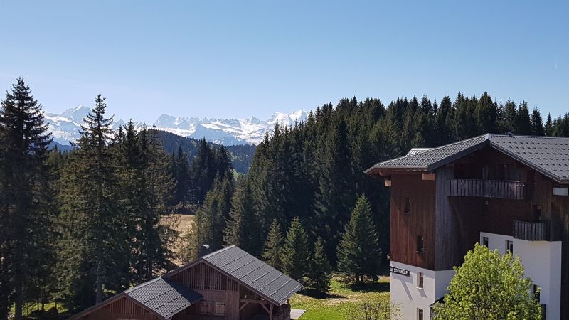photo 28 Owner direct vacation rental Praz de Lys Sommand appartement Rhone-Alps Haute-Savoie View from the balcony