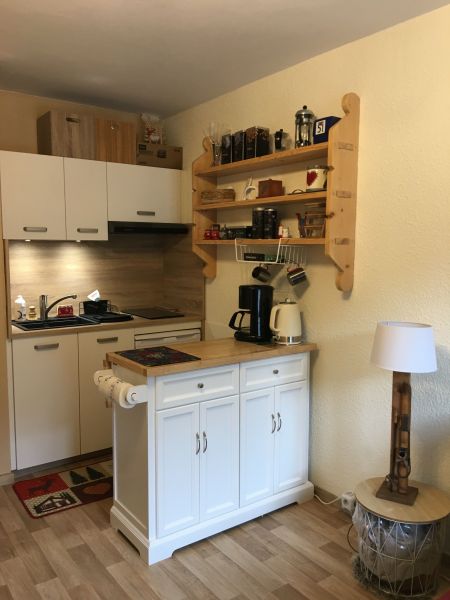 photo 11 Owner direct vacation rental Le Lioran studio Auvergne Cantal Kitchenette