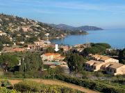 Gulf Of St. Tropez seaside holiday rentals: appartement no. 127037