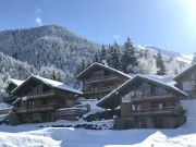 Northern Alps holiday rentals: chalet no. 128823