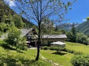 Gressoney Saint Jean holiday rentals apartments: appartement no. 129089