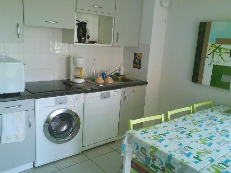 photo 1 Owner direct vacation rental Ciboure appartement Aquitaine Pyrnes-Atlantiques Kitchenette