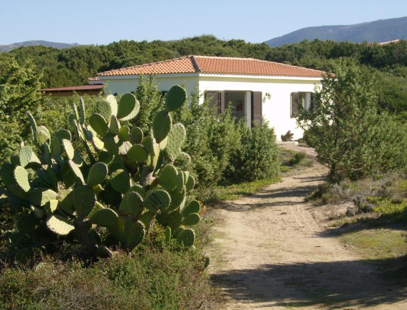 photo 0 Owner direct vacation rental Badesi maison Sardinia Olbia Tempio Province Outside view