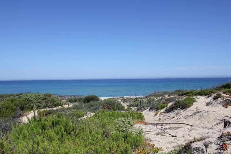photo 13 Owner direct vacation rental Badesi maison Sardinia Olbia Tempio Province Beach