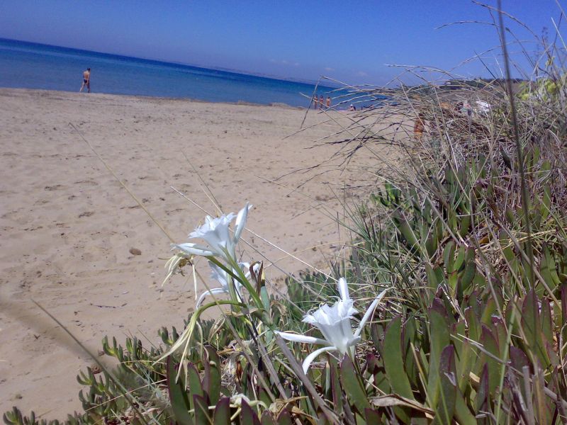 photo 16 Owner direct vacation rental Sciacca appartement Sicily Agrigento Province Beach