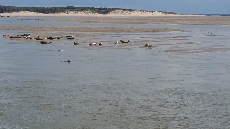 photo 29 Owner direct vacation rental Berck-Plage studio Nord-Pas de Calais Pas de Calais Beach