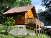 Vosges Mountains holiday rentals houses: chalet no. 94127