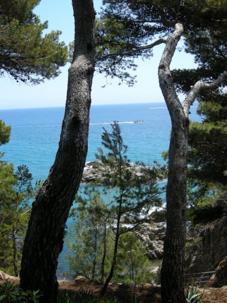 photo 2 Owner direct vacation rental Sant Antoni de Calonge appartement Catalonia Girona (province of) View from terrace