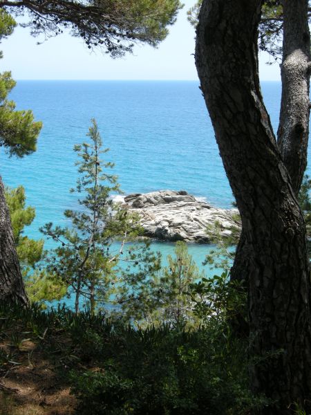 photo 3 Owner direct vacation rental Sant Antoni de Calonge appartement Catalonia Girona (province of) View from the property