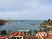 Banyuls-Sur-Mer holiday rentals apartments: appartement no. 102966