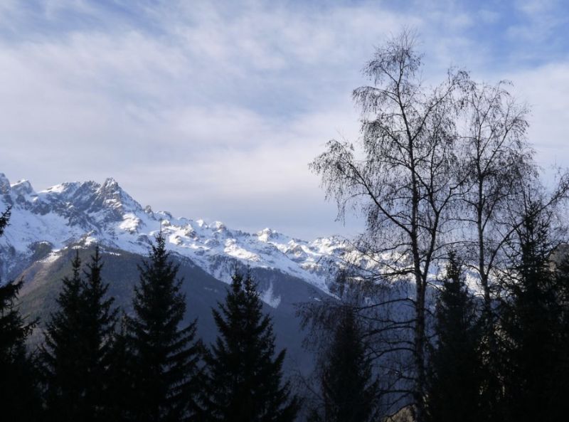 photo 5 Owner direct vacation rental Oz en Oisans chalet Rhone-Alps Isre View from the balcony