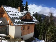 Oz En Oisans holiday rentals for 9 people: chalet no. 111325