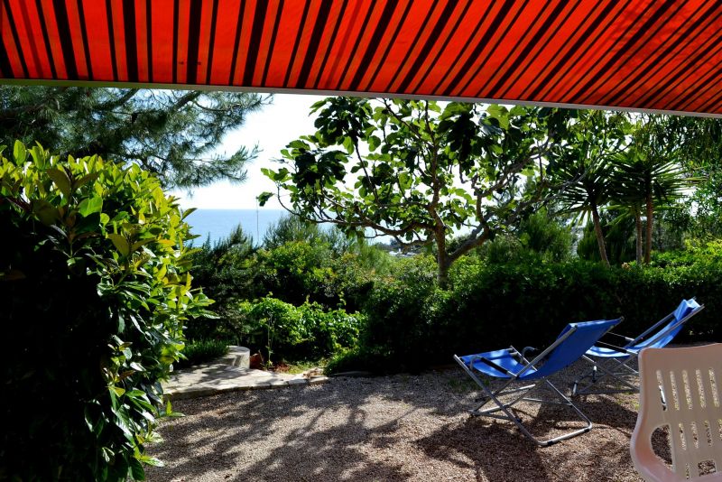 photo 2 Owner direct vacation rental Pescoluse maison Puglia Lecce Province Garden