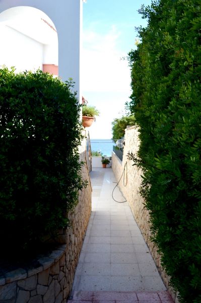 photo 10 Owner direct vacation rental Pescoluse maison Puglia Lecce Province