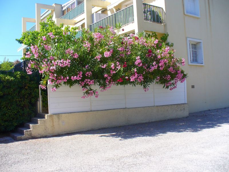 photo 15 Owner direct vacation rental Saint Cyr sur Mer studio Provence-Alpes-Cte d'Azur Var