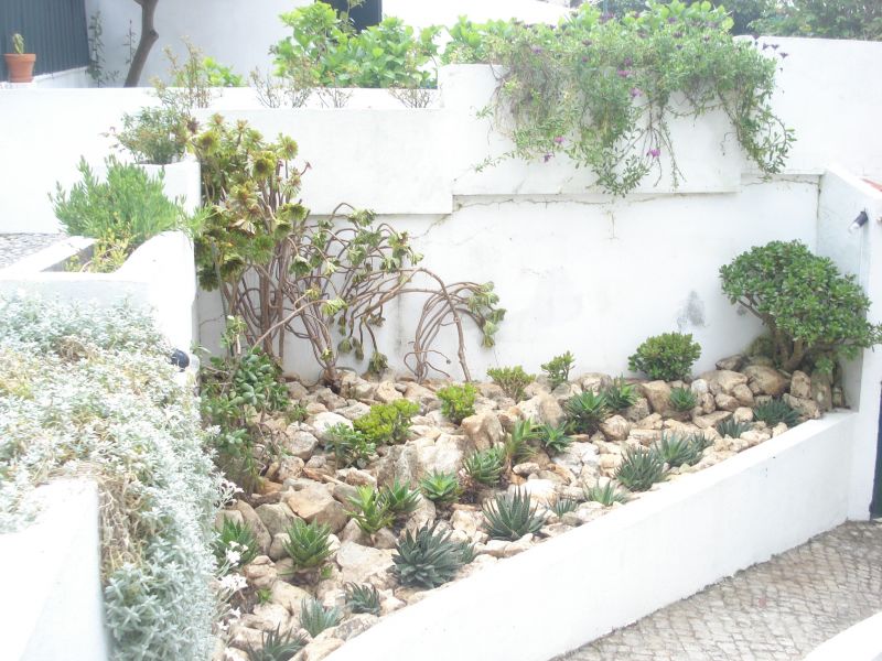 photo 26 Owner direct vacation rental Sesimbra villa Greater Lisbon and Setbal Setbal Garden