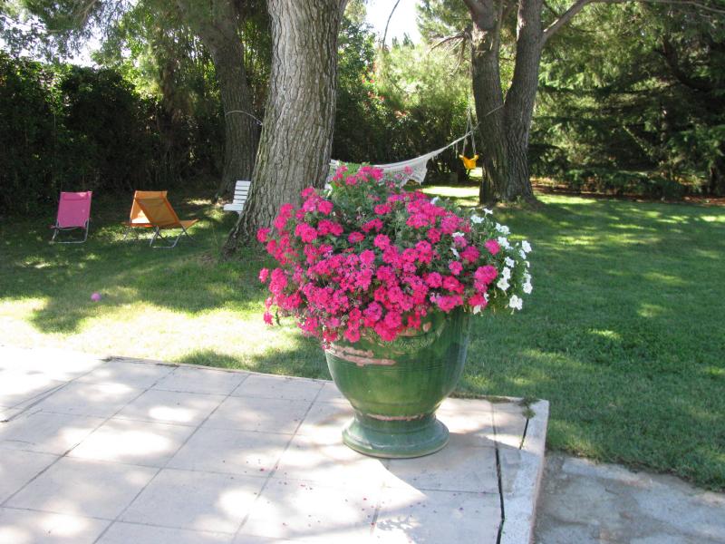 photo 15 Owner direct vacation rental Salon de Provence gite Provence-Alpes-Cte d'Azur Bouches du Rhne View from terrace