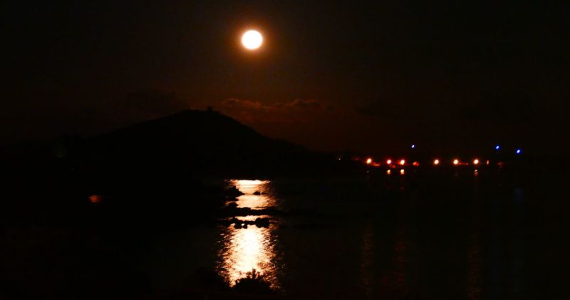 photo 29 Owner direct vacation rental Pietrosella appartement Corsica Corse du Sud View from terrace