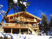 French Pyrenean Mountains holiday rentals for 9 people: chalet no. 116230