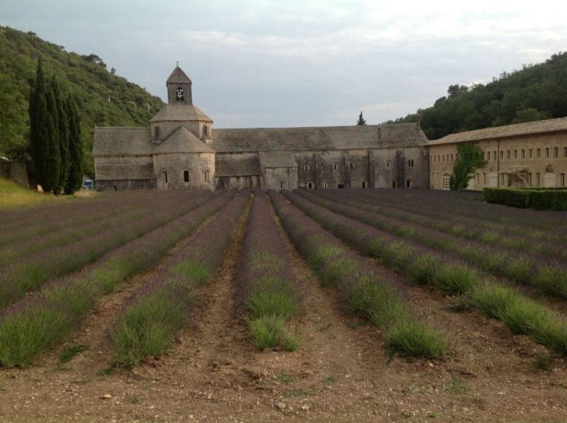 photo 15 Owner direct vacation rental Loriol-du-Comtat gite Provence-Alpes-Cte d'Azur Vaucluse Other view