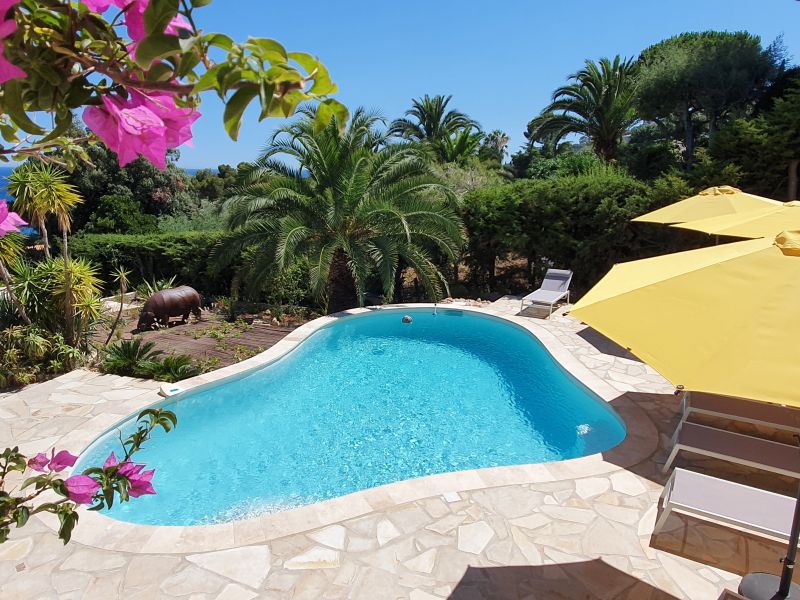 photo 5 Owner direct vacation rental Les Issambres villa Provence-Alpes-Cte d'Azur Var Swimming pool