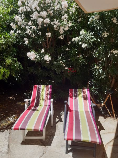 photo 11 Owner direct vacation rental La Seyne sur Mer appartement Provence-Alpes-Cte d'Azur Var Garden