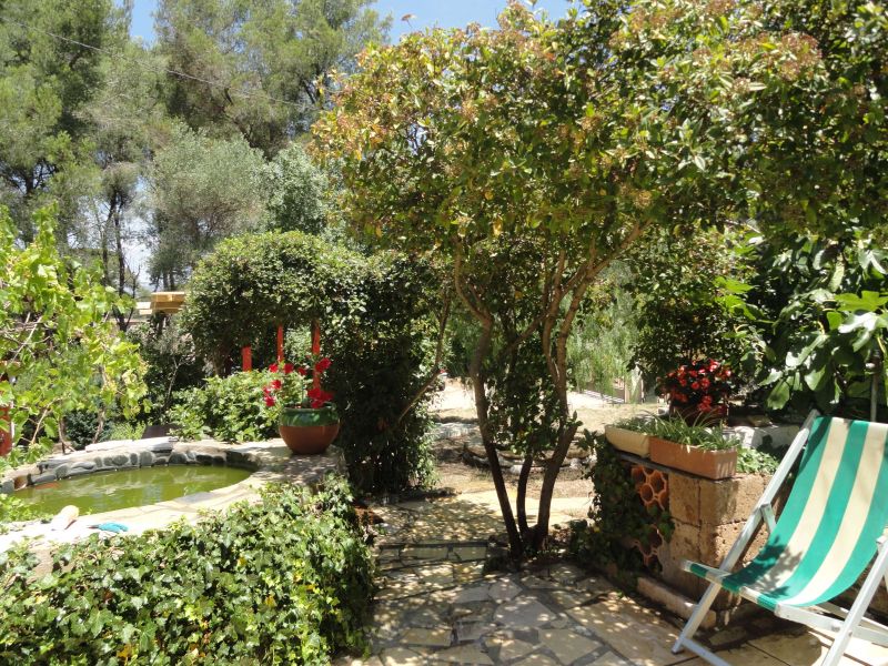 photo 3 Owner direct vacation rental La Seyne sur Mer maison Provence-Alpes-Cte d'Azur Var Garden
