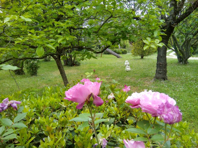 photo 21 Owner direct vacation rental Anduze villa Languedoc-Roussillon Gard Garden