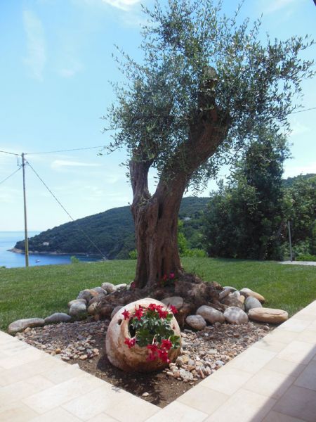 photo 2 Owner direct vacation rental Rio Marina maison Tuscany Elba Island Garden