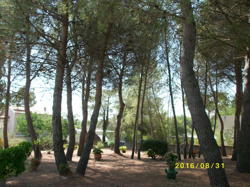 photo 23 Owner direct vacation rental Montpellier gite Languedoc-Roussillon Hrault Garden