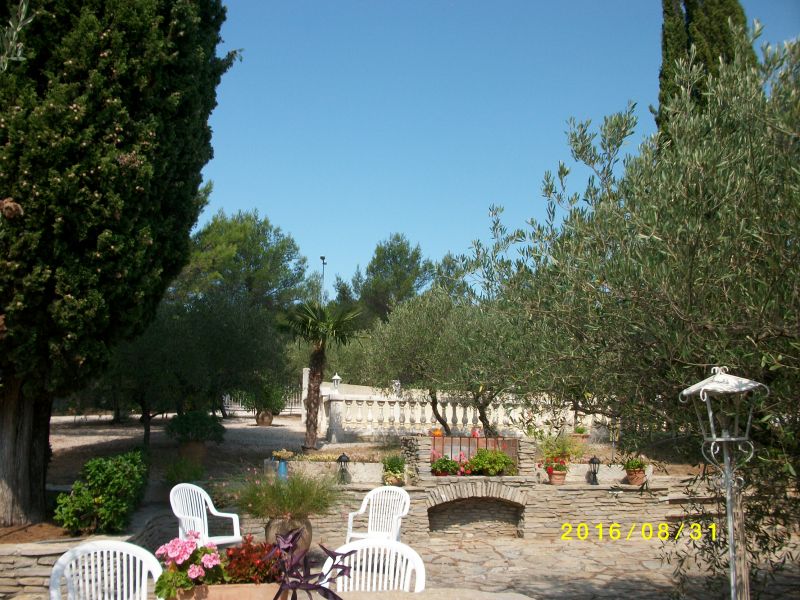 photo 21 Owner direct vacation rental Montpellier gite Languedoc-Roussillon Hrault Garden
