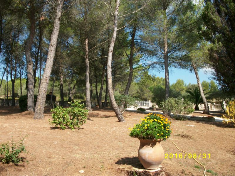 photo 24 Owner direct vacation rental Montpellier gite Languedoc-Roussillon Hrault Garden