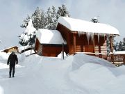 Pyrnes-Orientales holiday rentals for 8 people: chalet no. 106862