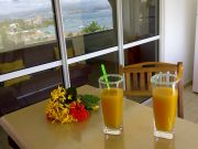 Sainte Anne (Martinique) holiday rentals: appartement no. 107060