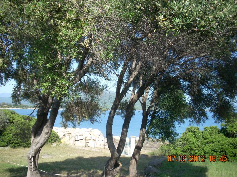 photo 3 Owner direct vacation rental Porto Pollo villa Corsica Corse du Sud View from terrace