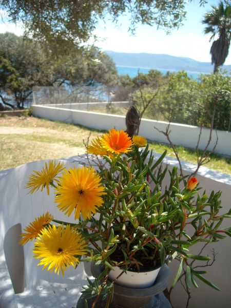 photo 24 Owner direct vacation rental Porto Pollo villa Corsica Corse du Sud View from terrace