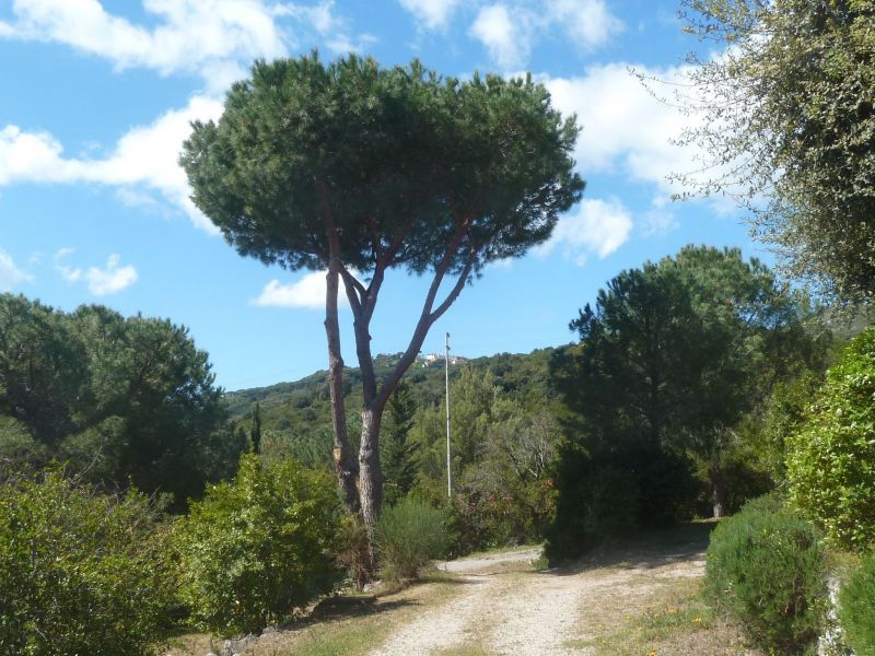 photo 16 Owner direct vacation rental Campo nell'Elba appartement Tuscany Elba Island Garden