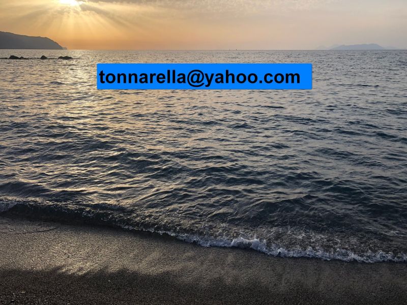 photo 14 Owner direct vacation rental Furnari appartement Sicily Messina Province Beach