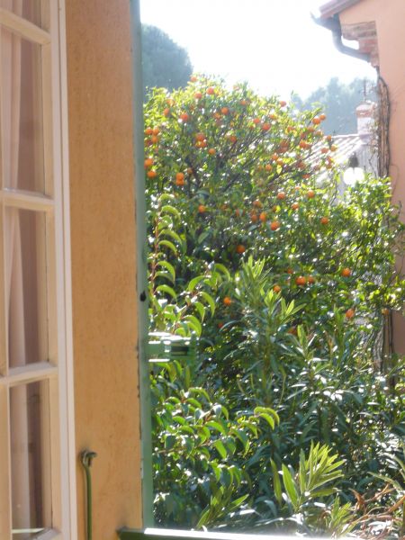 photo 8 Owner direct vacation rental Collioure appartement Languedoc-Roussillon Pyrnes-Orientales