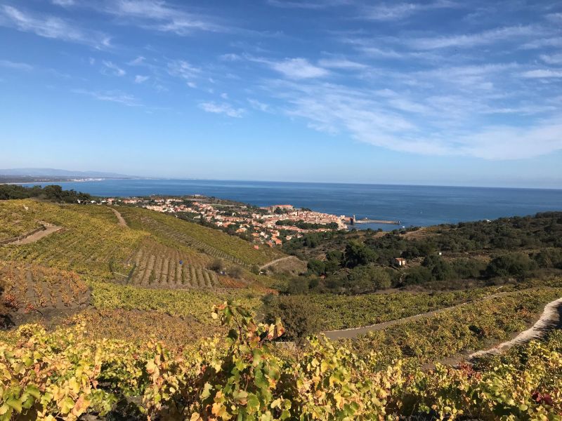 photo 10 Owner direct vacation rental Collioure appartement Languedoc-Roussillon Pyrnes-Orientales Outside view