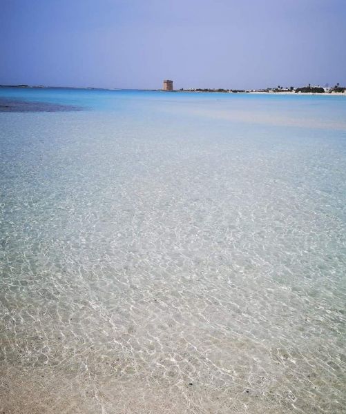 photo 14 Owner direct vacation rental Porto Cesareo appartement Puglia Lecce Province