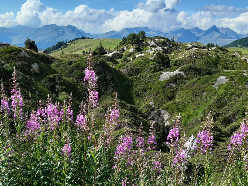 photo 23 Owner direct vacation rental La Plagne appartement Rhone-Alps Savoie Surroundings