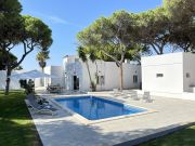 Portugal holiday rentals for 12 people: villa no. 128254