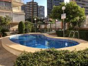 Alicante (Province Of) seaside holiday rentals: appartement no. 69891