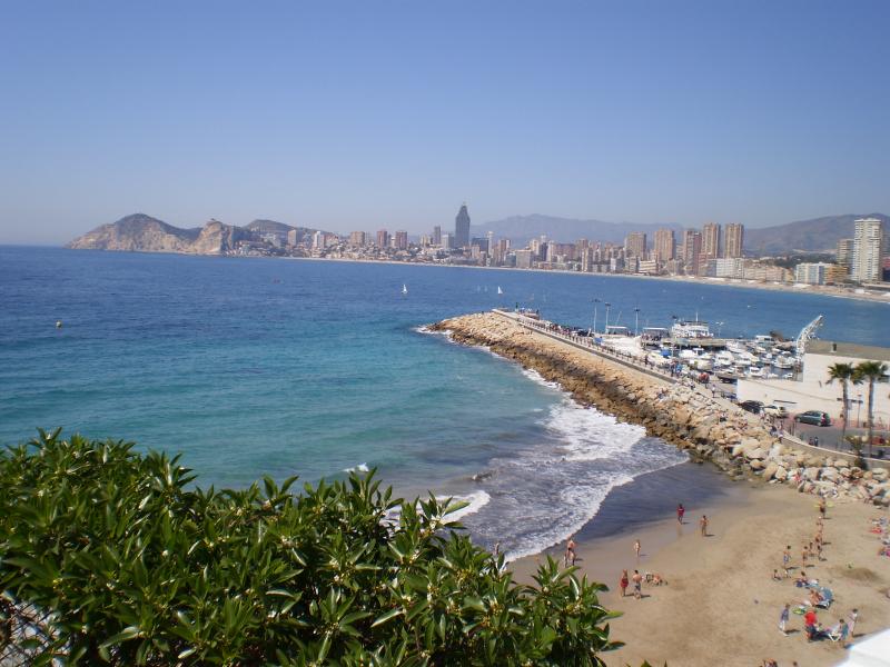 photo 2 Owner direct vacation rental Benidorm appartement Valencian Community Alicante (province of)